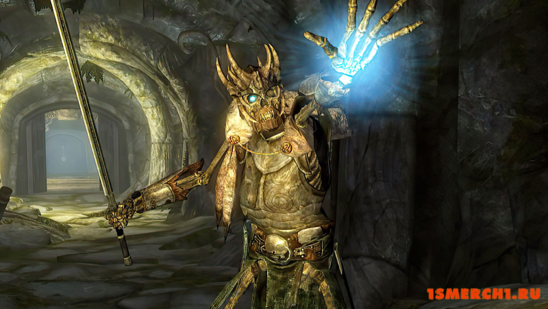 Armored Skeletons