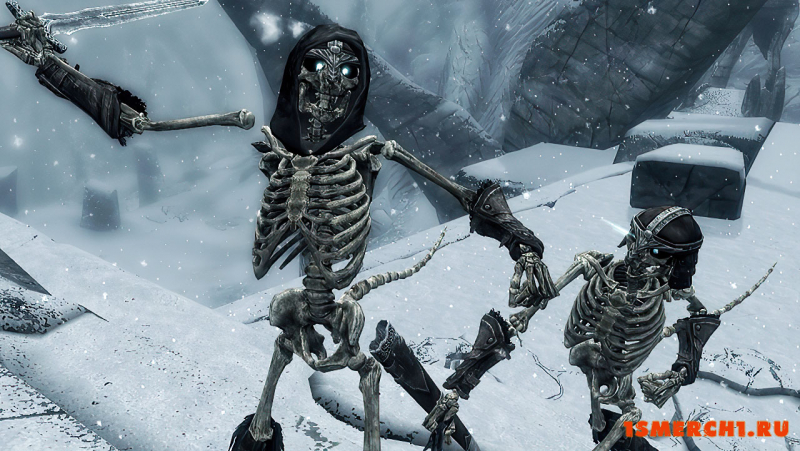 Armored Skeletons