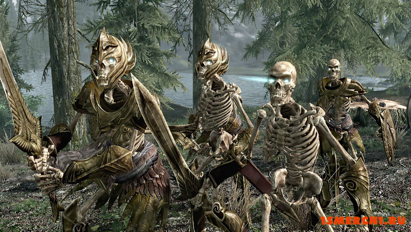 Armored Skeletons