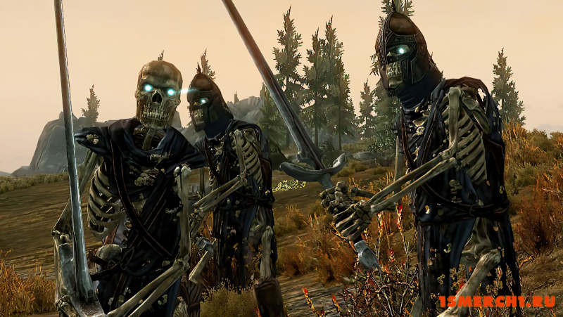 Armored Skeletons