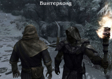 Various Guards