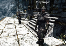 Various Guards