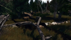 Farthest Edge