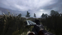 The Price of Lost Memories