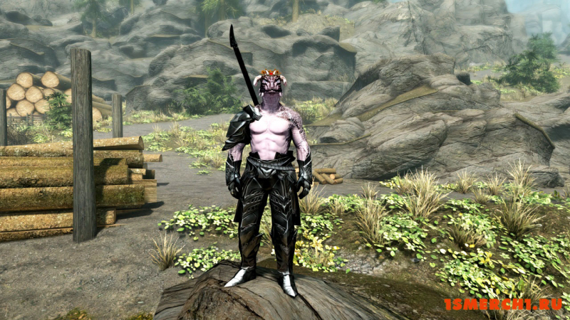 Argonian Armor Merged