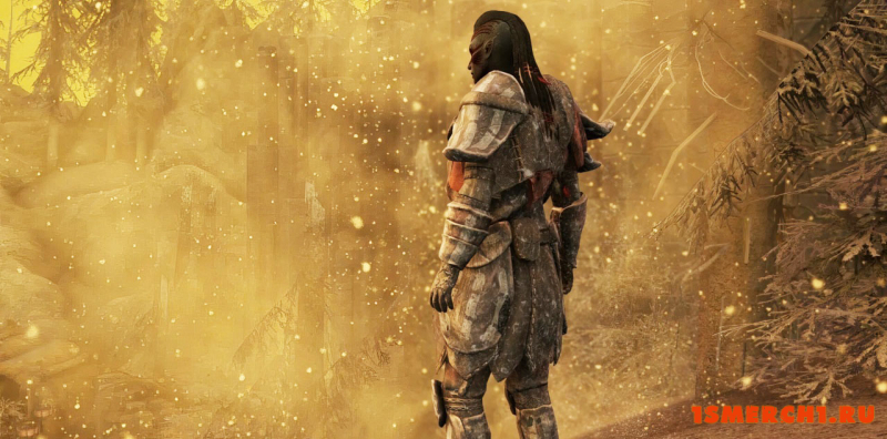 Armors of the Velothi Pt. II