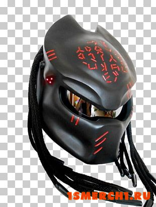Predator