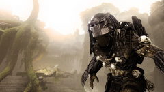 Predator