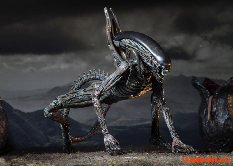 Alien