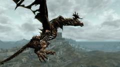 Diverse Dragons Collection 3