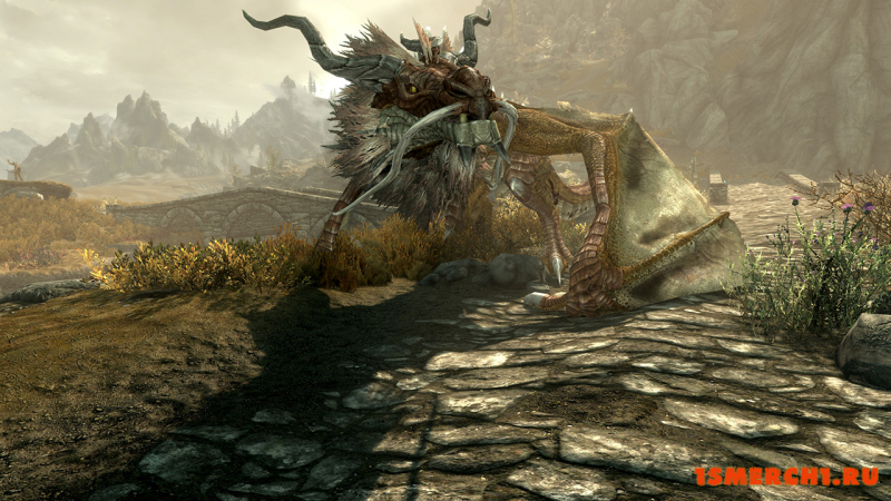 Diverse Dragons Collection 3
