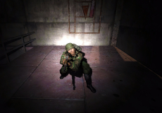 Stalker Wolfenstein